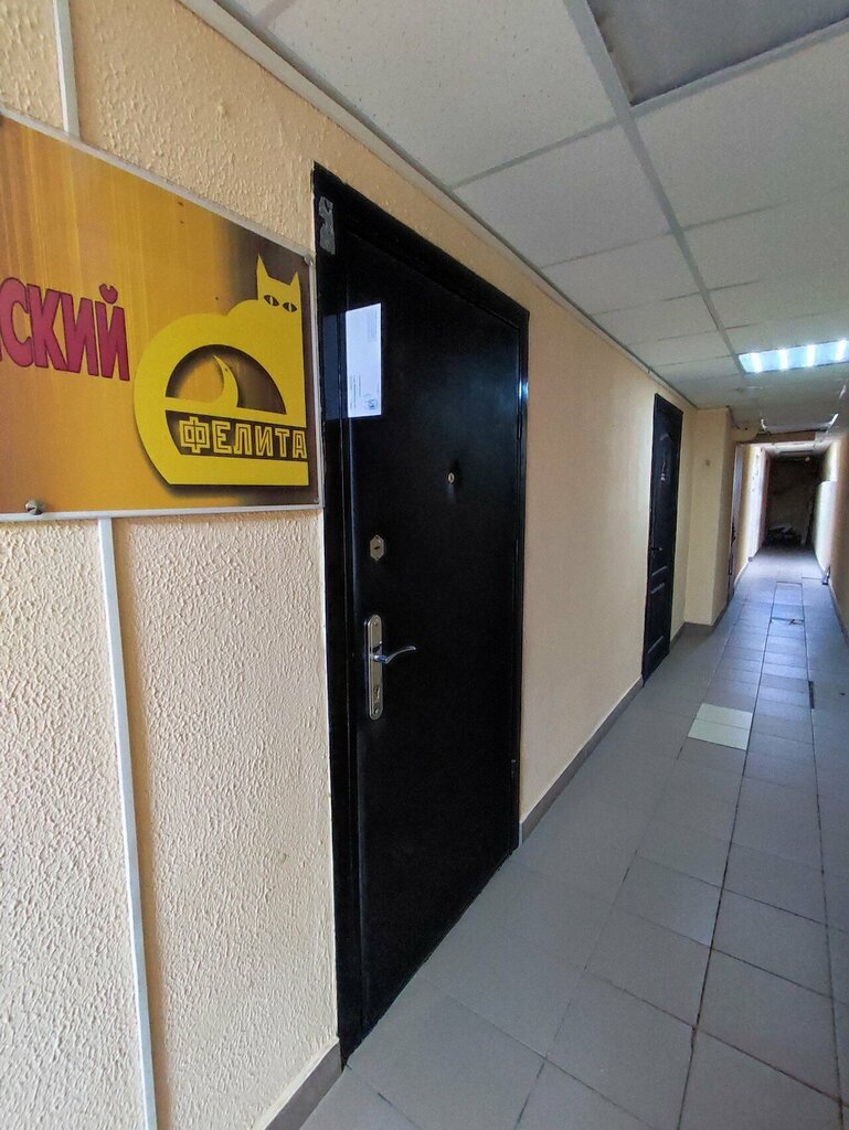 Organización pública Felita Belorussky Felinologichesky tsentr Oo, , foto