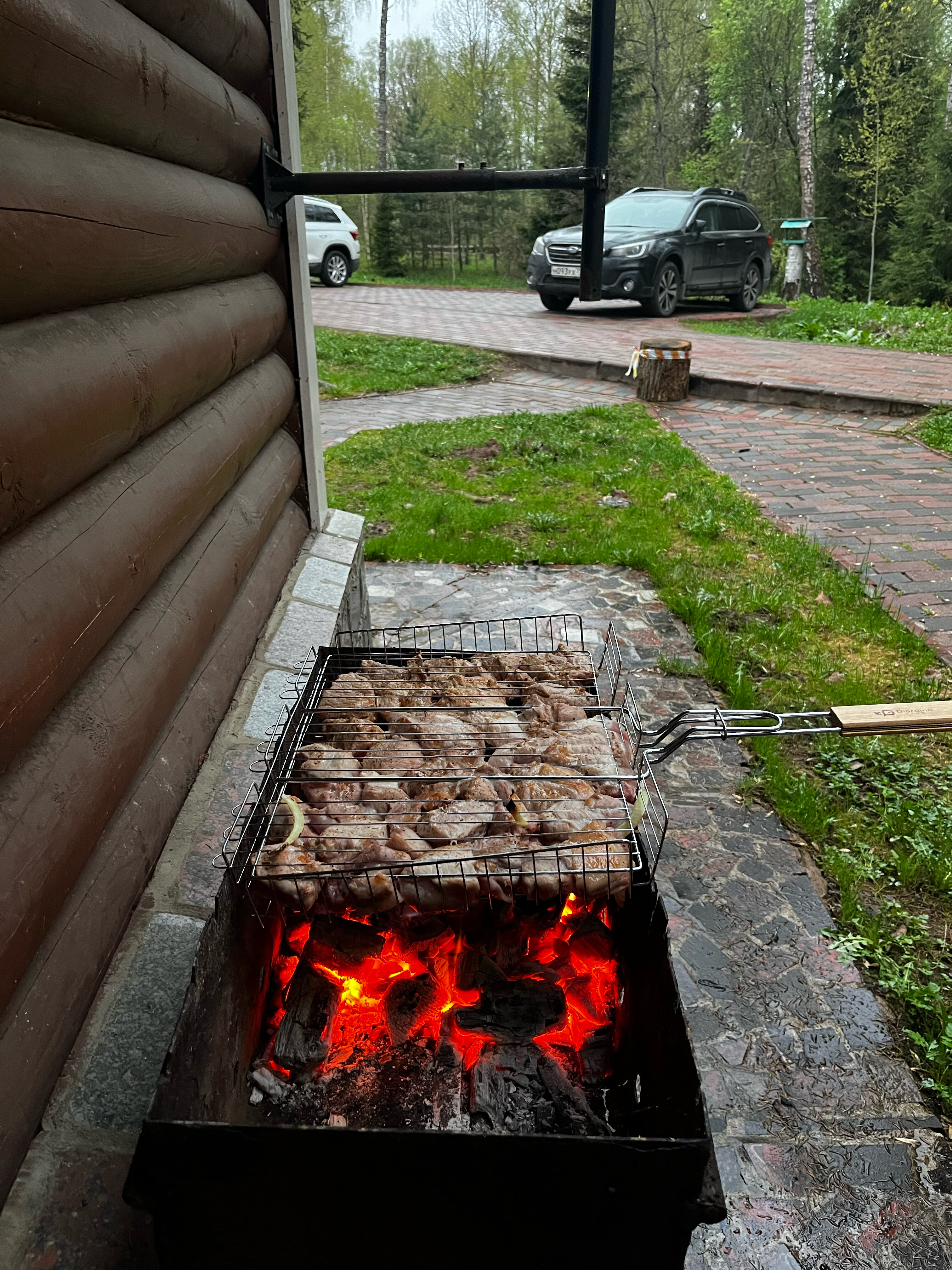 Фото Берёзовая роща