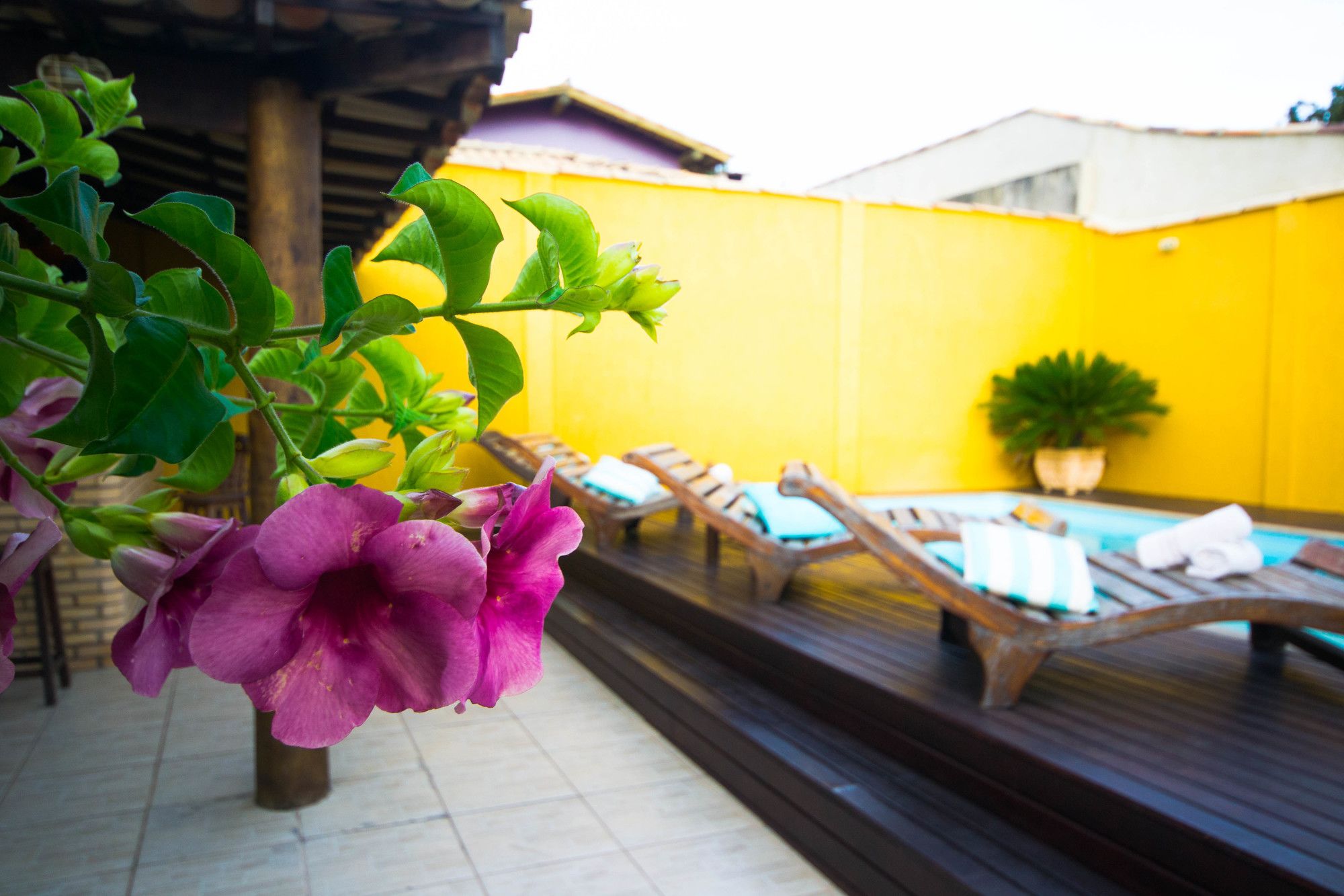 Фото Pousada Búzios Garden