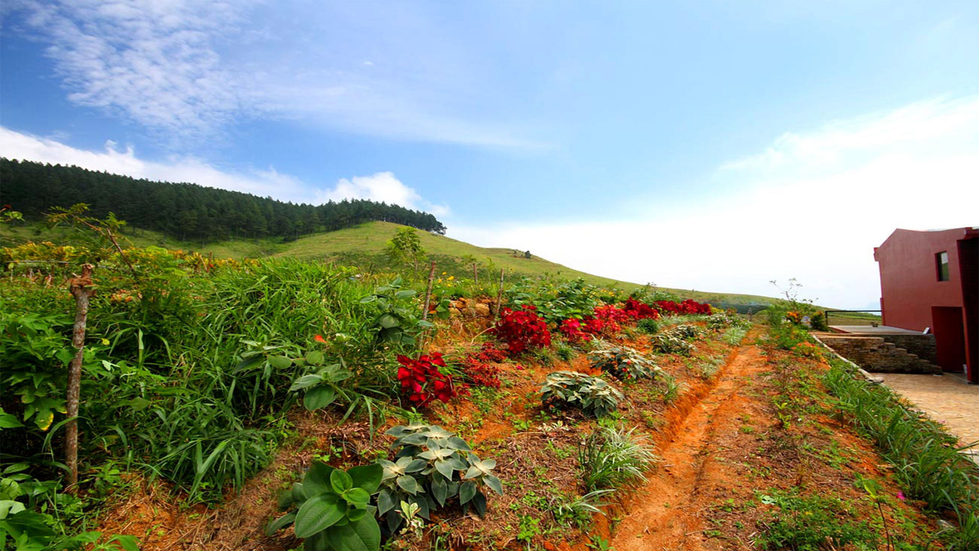 Фото Windloft Retreat