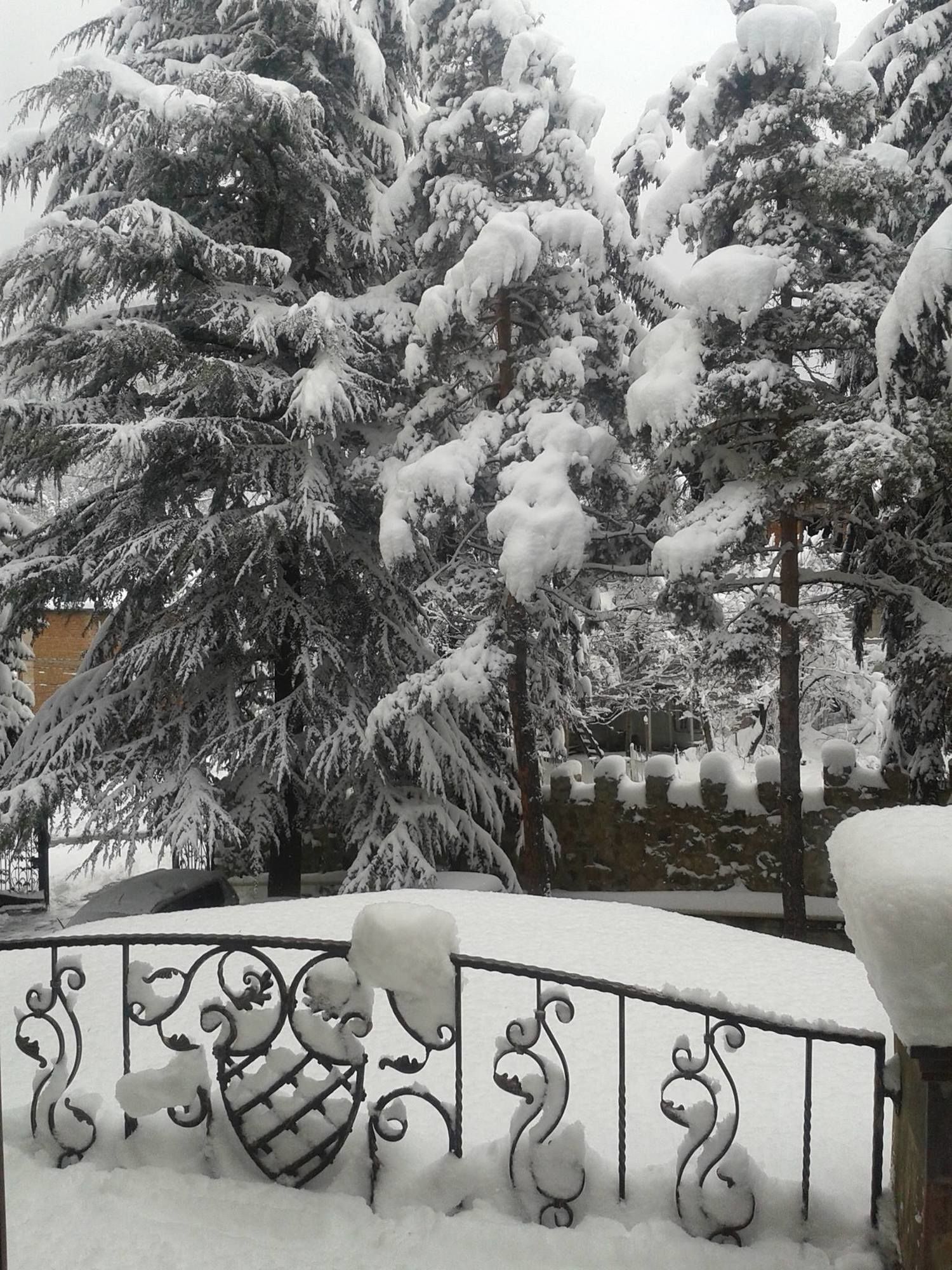 Фото Borjomi Palace