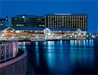 Фото The Westin Tampa Waterside
