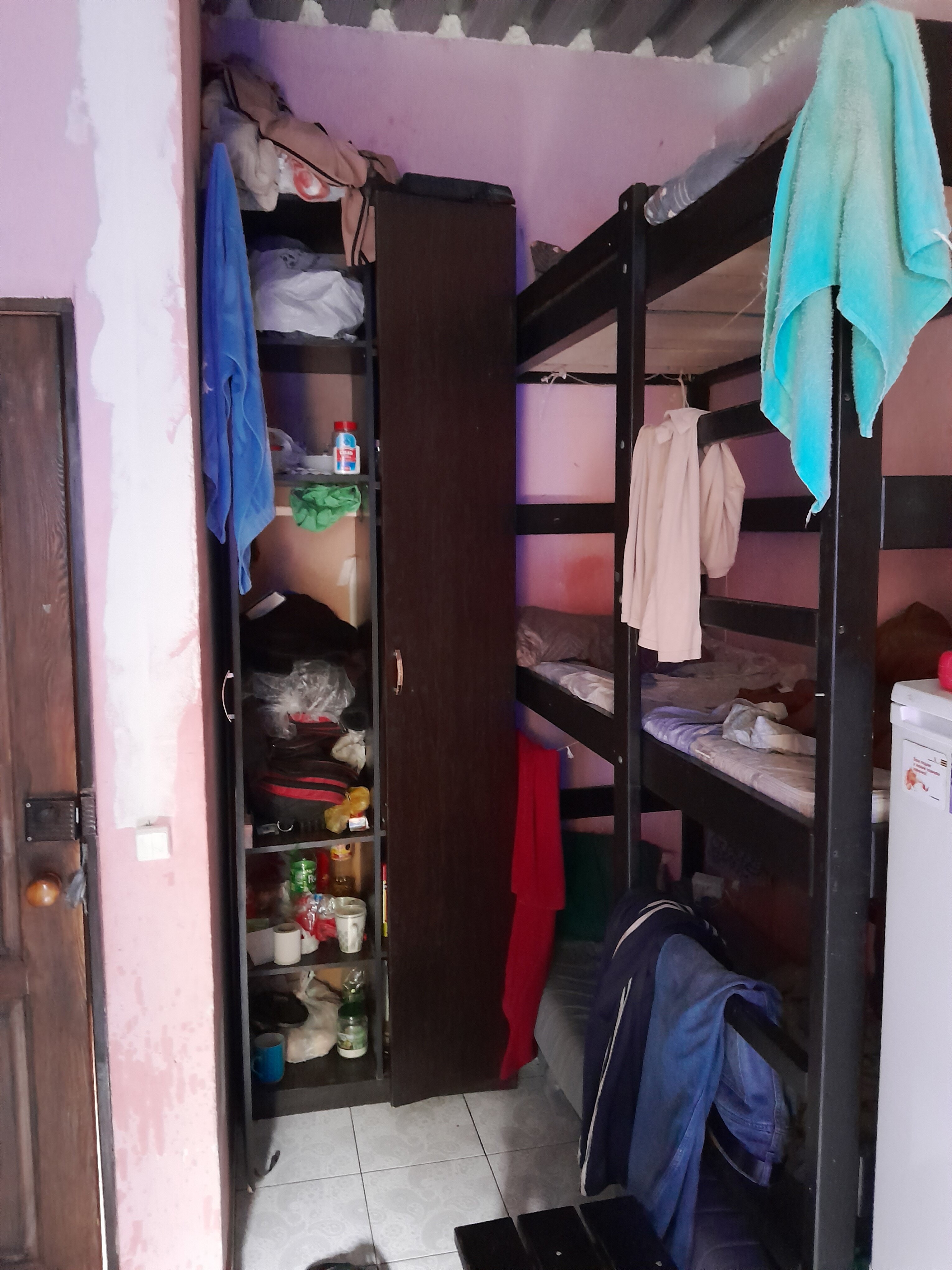 Фото Вежливый Лось на Ботаническом саду