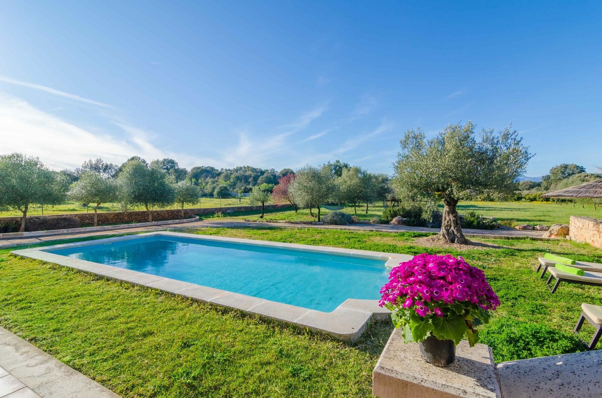 Фото Na Bubota Camí Son Lluc