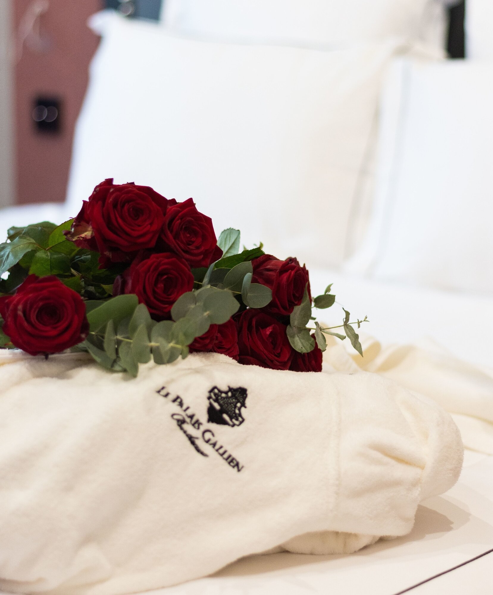 Фото Le Palais Gallien Hôtel & SPA