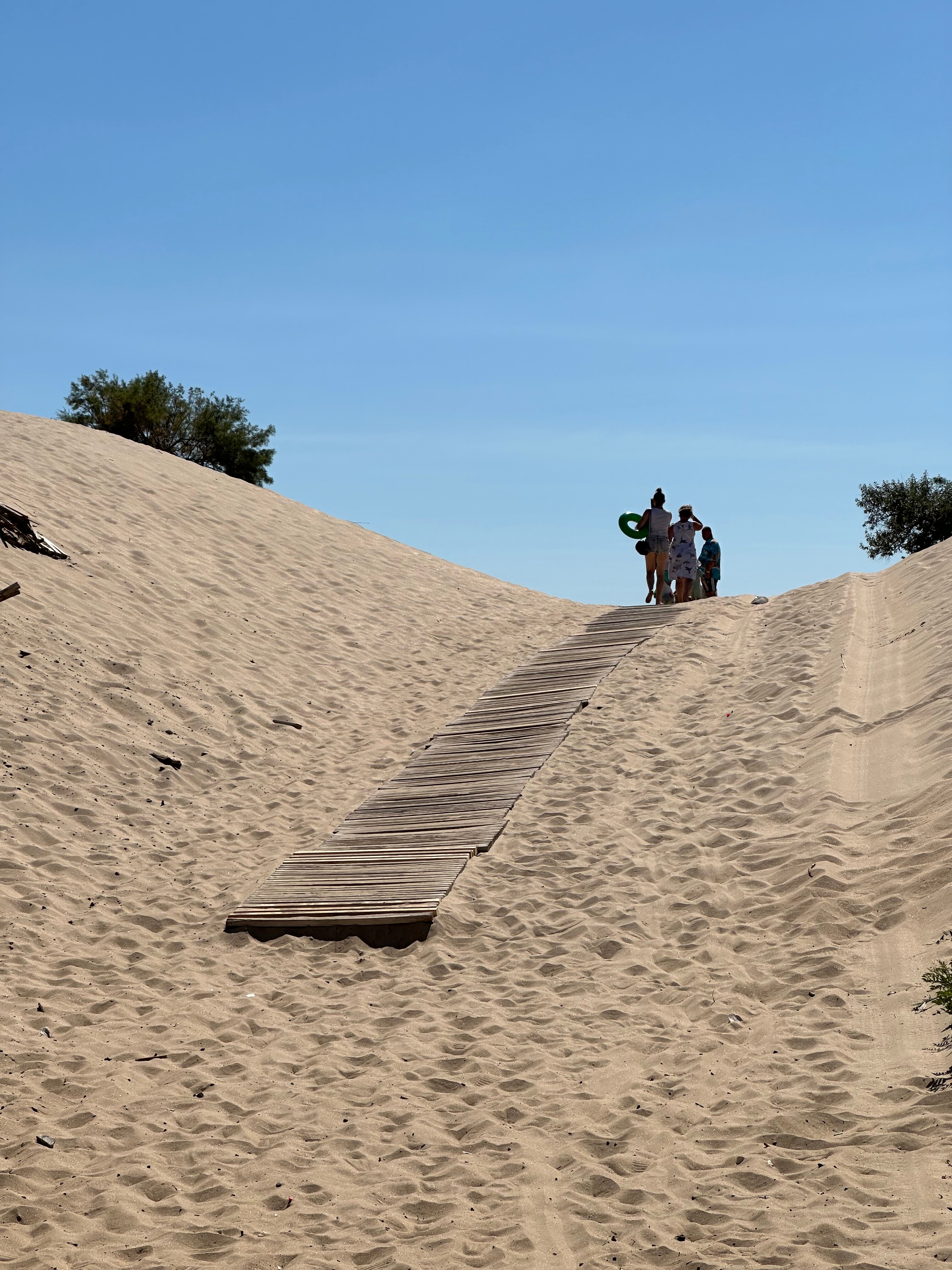 Фото Афалина