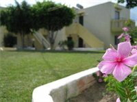 Фото Angelos Studios