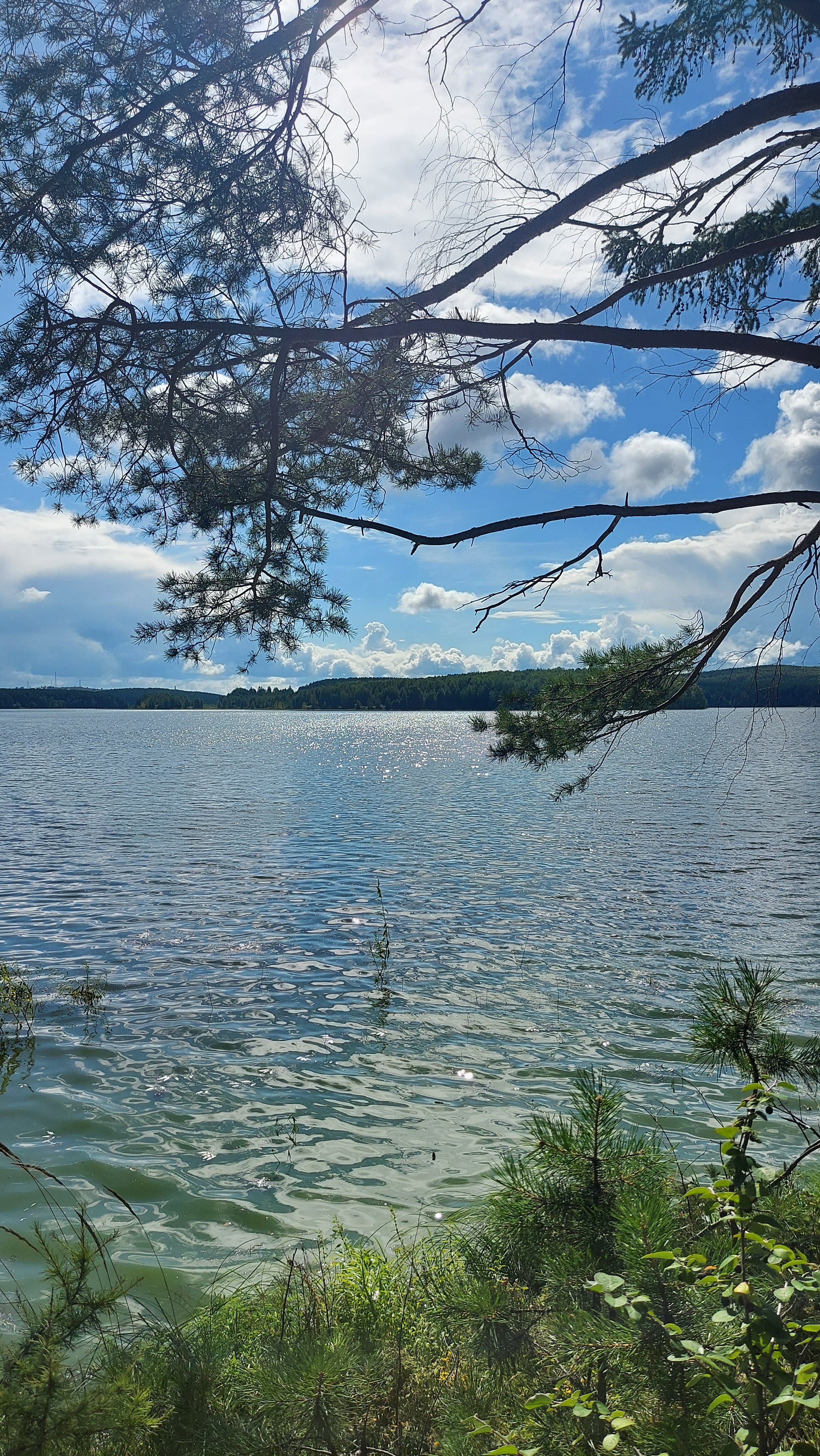 Фото Зелёный мыс