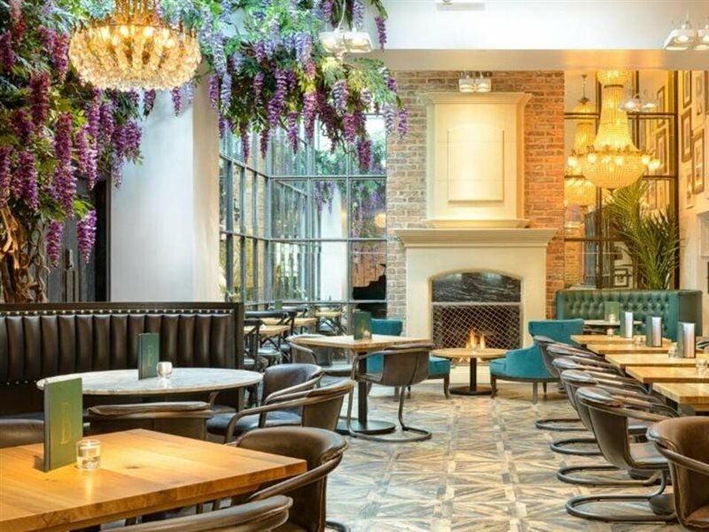 Фото Black Ivy Hotel