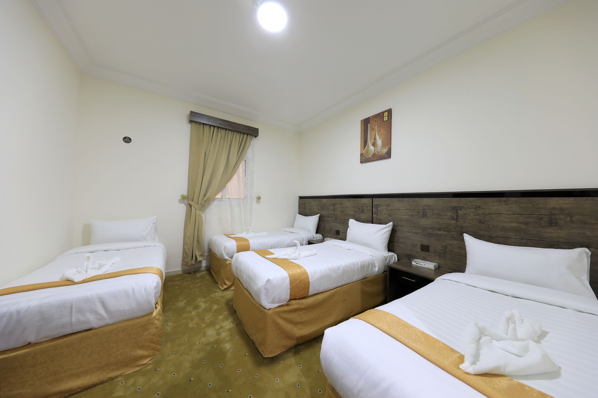 Фото 224647030164