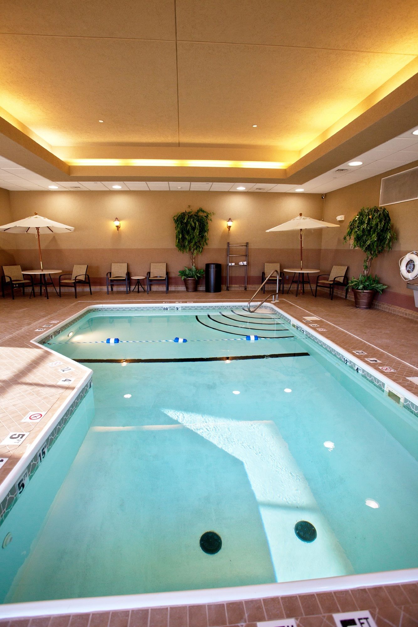 Фото Holiday Inn Express and Suites Springfield Medical District, an Ihg Hotel