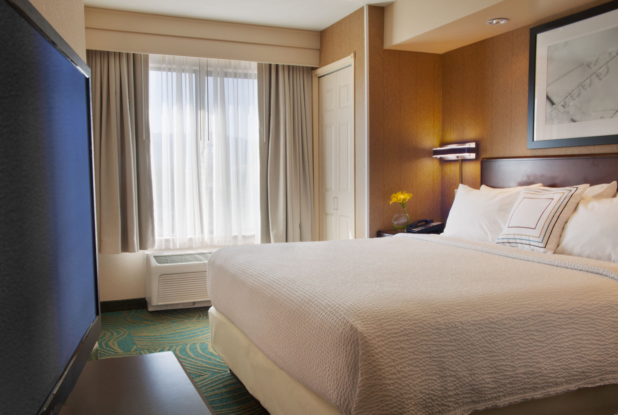 Фото SpringHill Suites by Marriott Medford