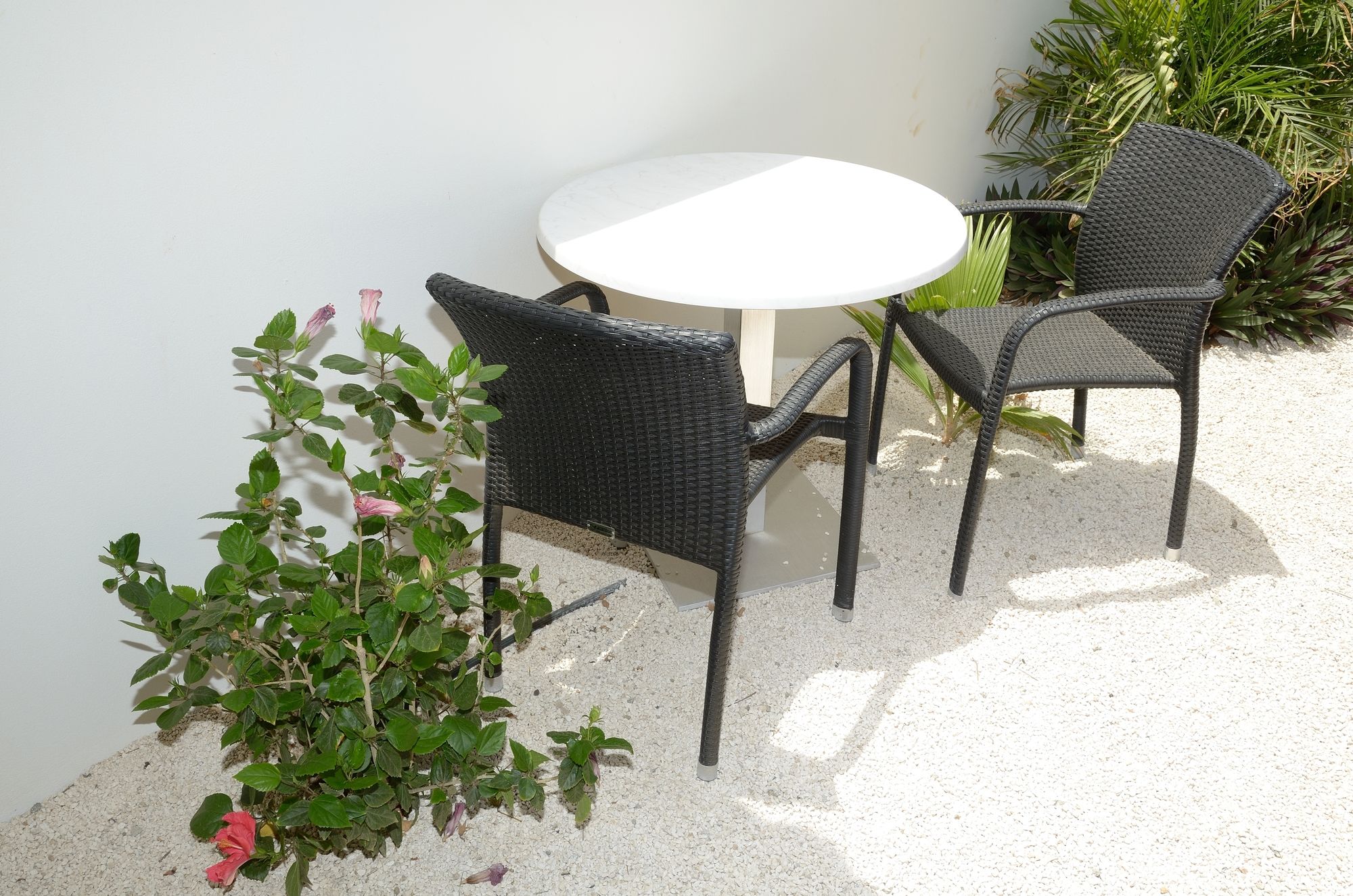 Фото Swiss Paradise Aruba