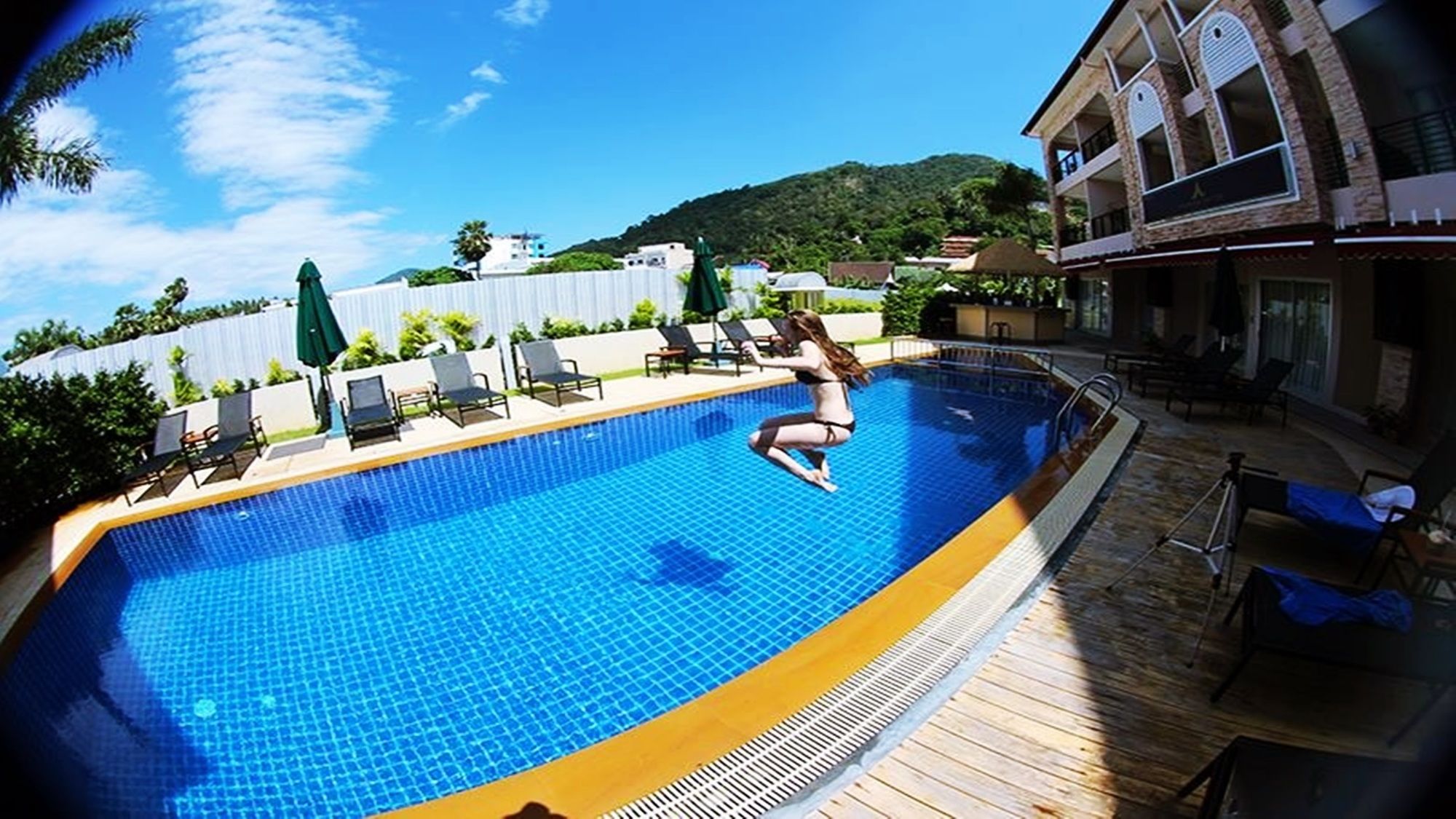 Фото The Orchid House