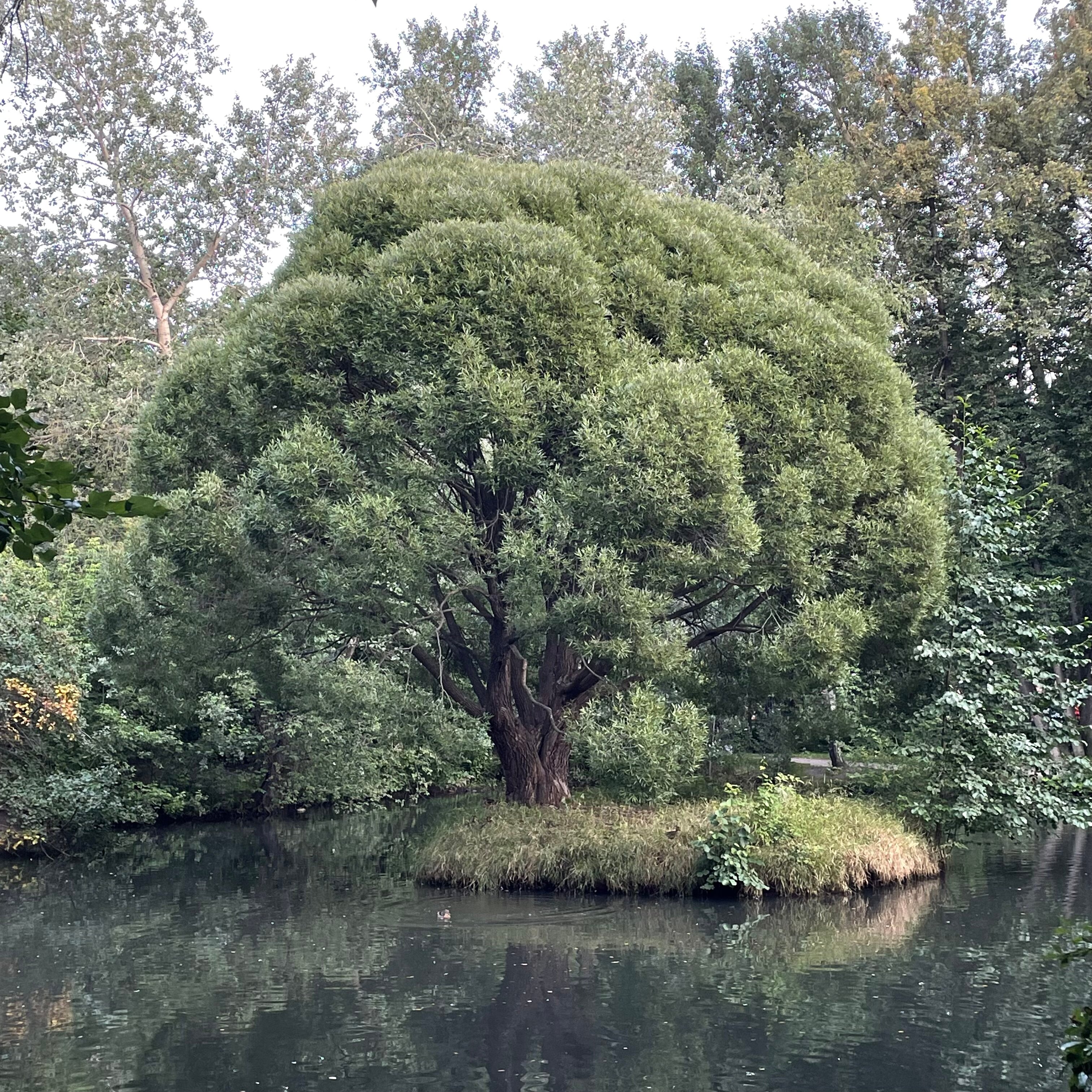 Фото Уютное местечко