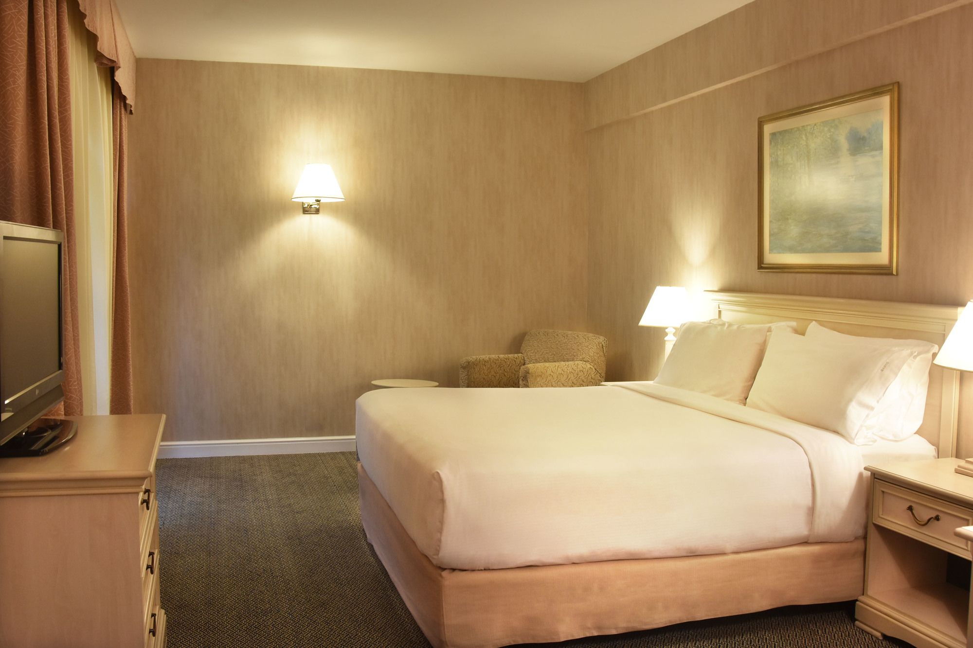 Фото Holiday Inn Rosario by IHG