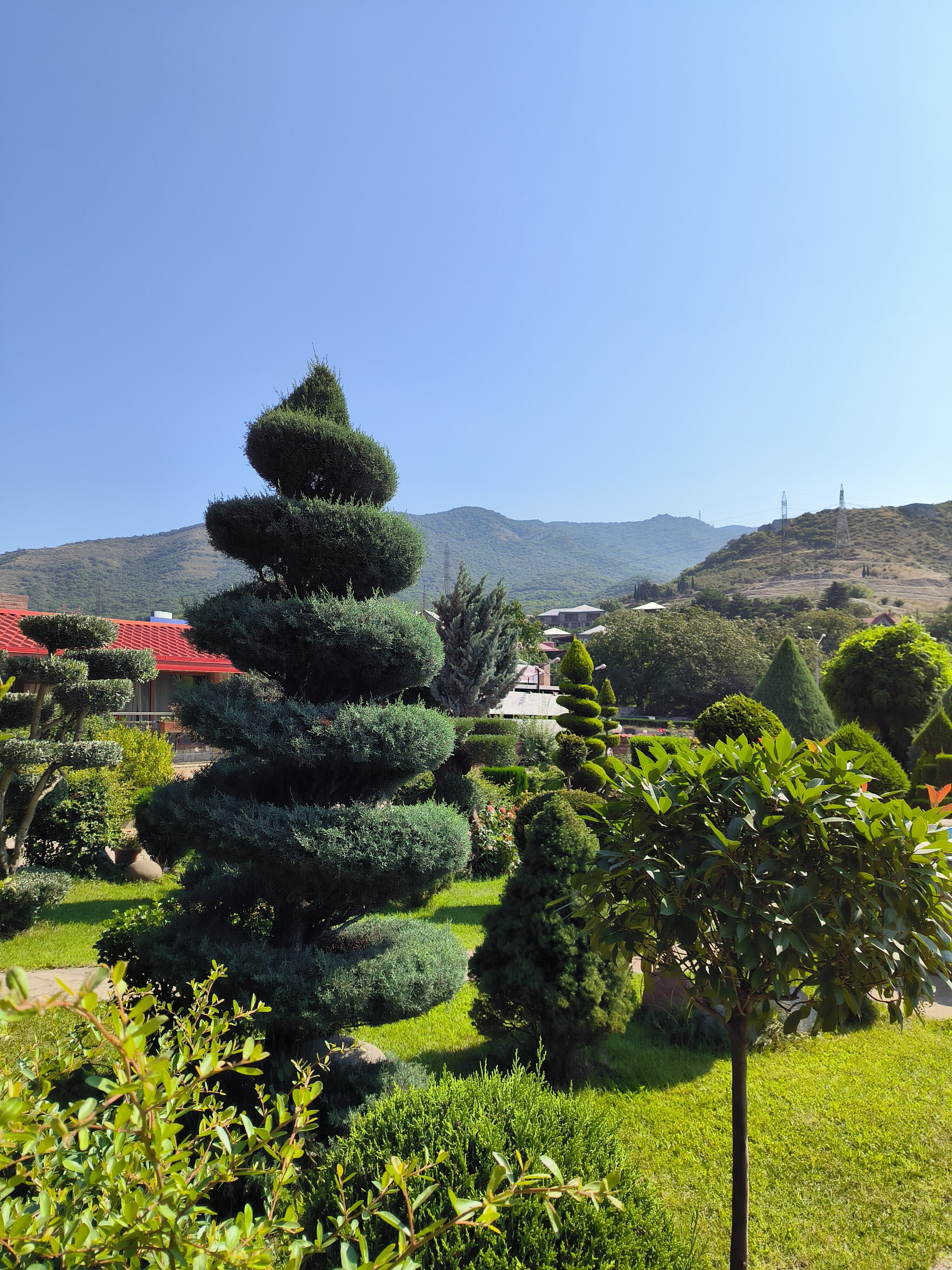 Фото Zedazeni Hotel