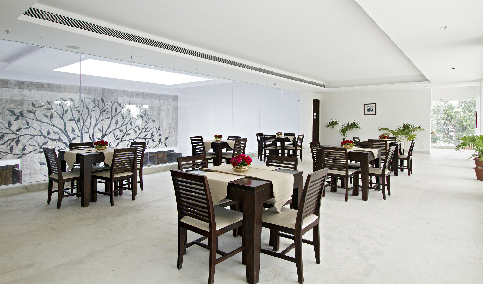 Фото Clarks Amer