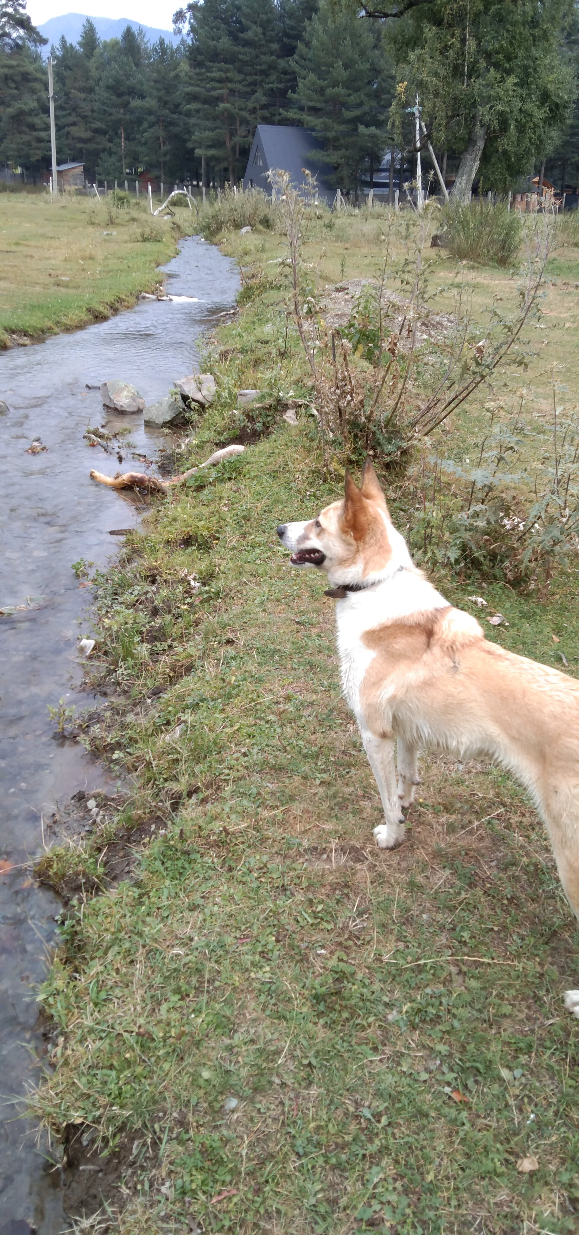 Фото Тайга House