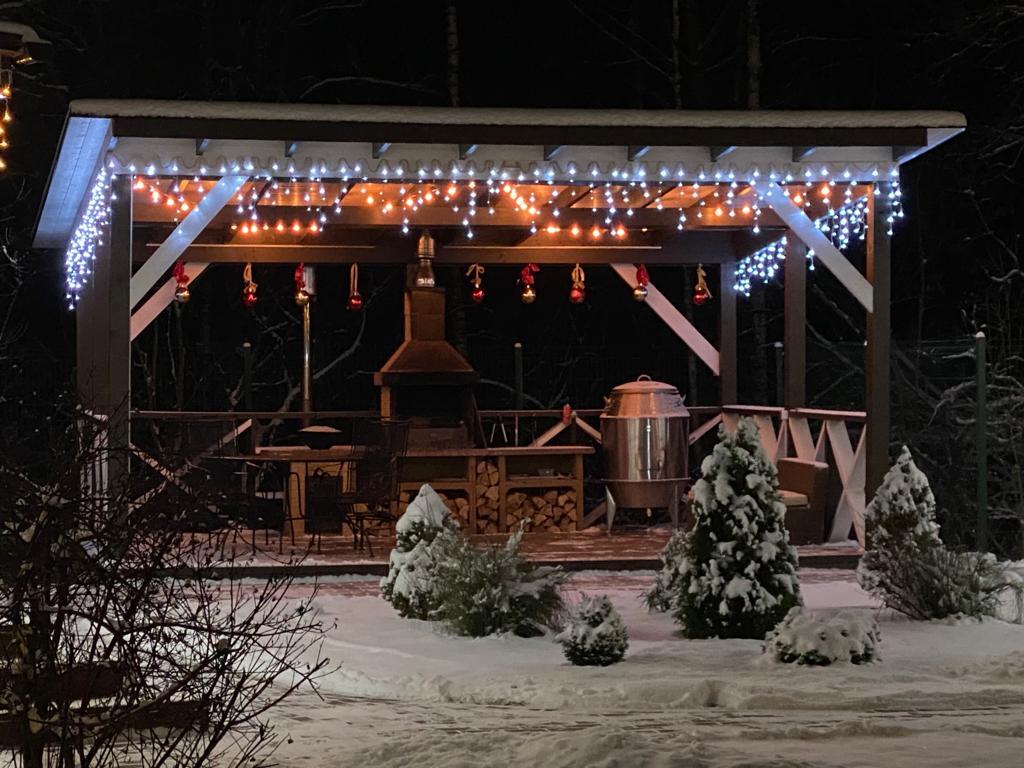 Фото Метелица