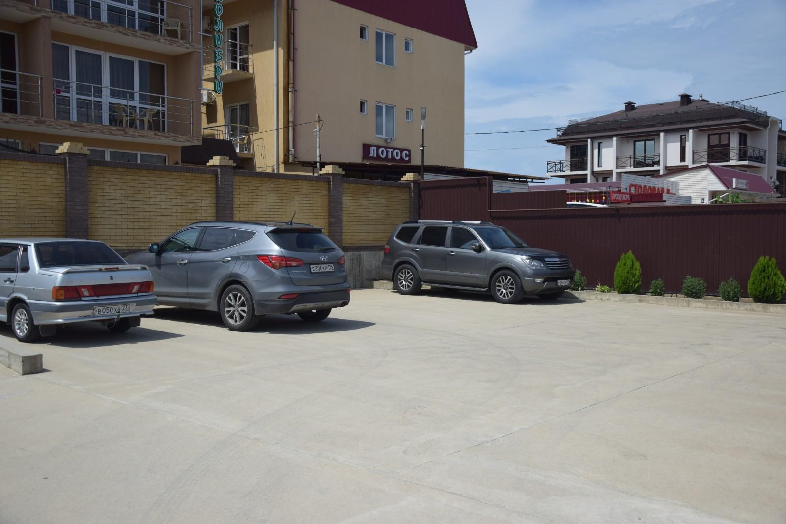 Фото Колибри