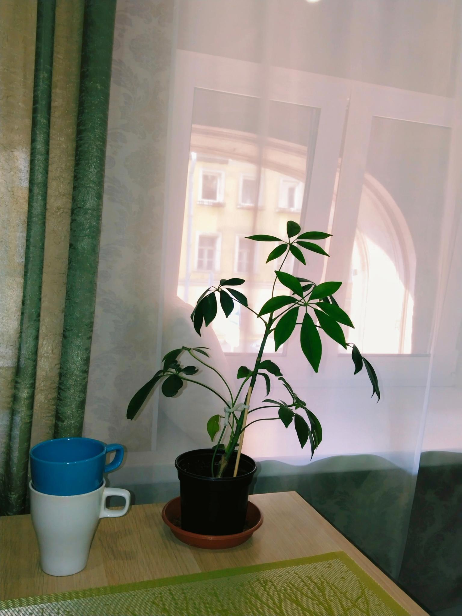 Фото Хостел Большой Казачий