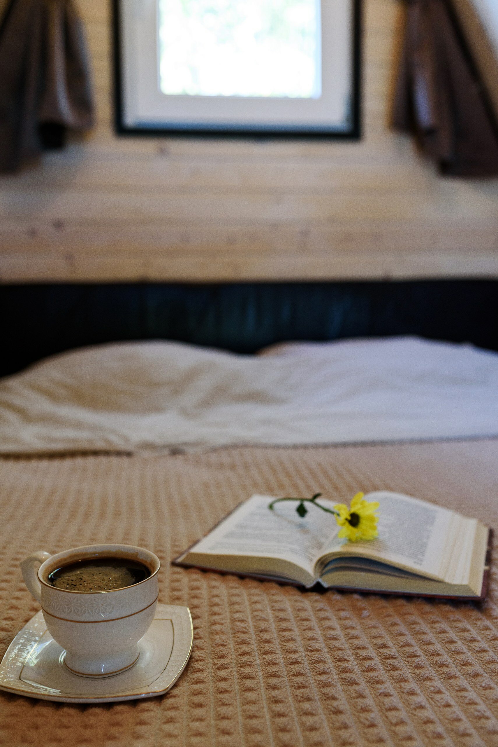 Фото Feshin Forest