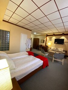 Poniya (Chelyabinsk, Darwina Street, 2А), hotel