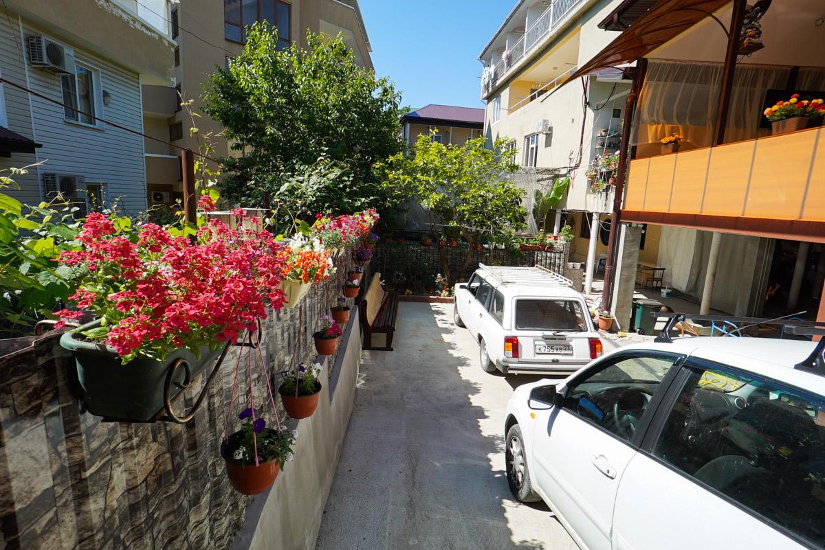 Фото Виолетта