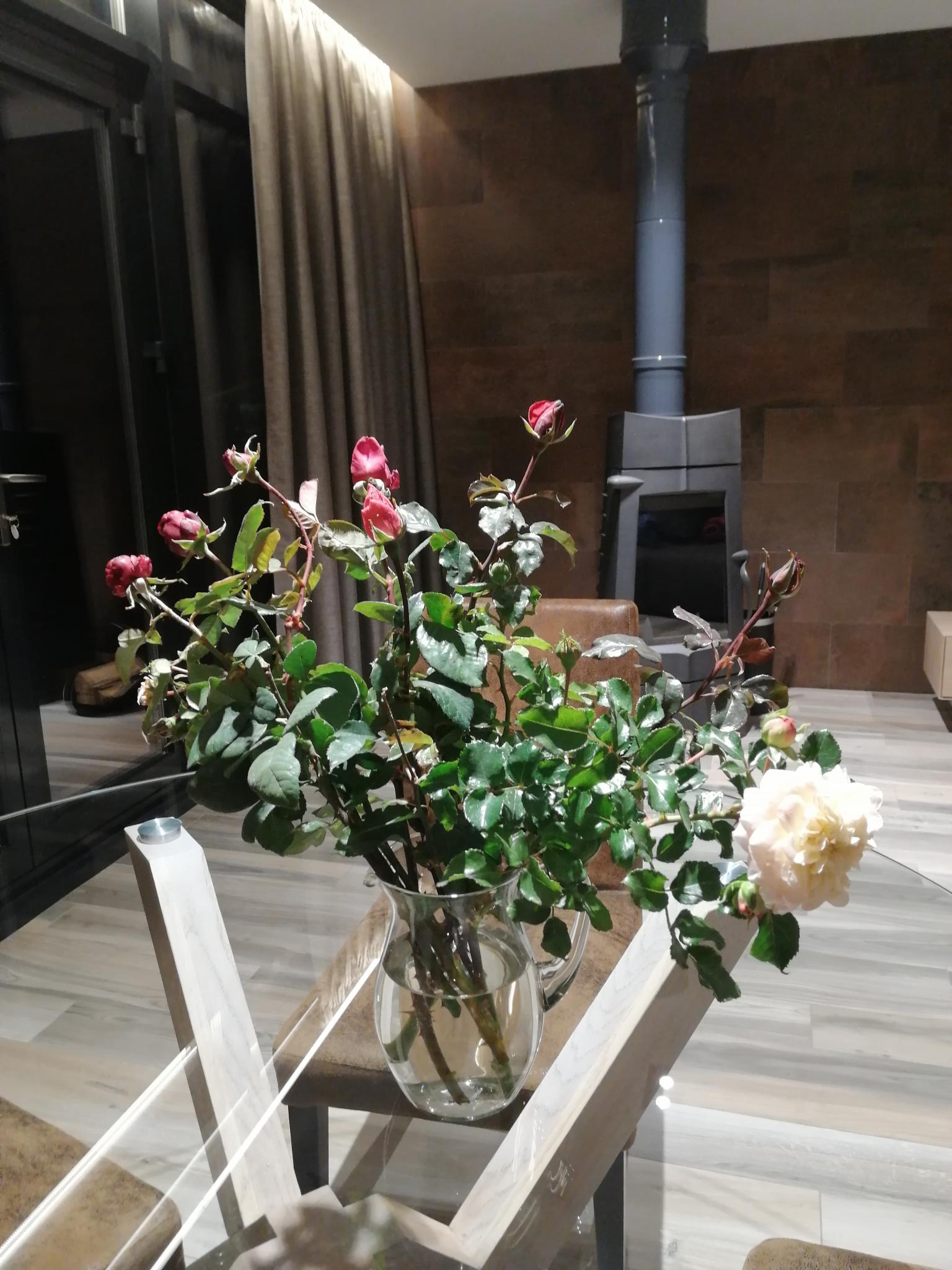 Фото Eco Forrest Club SPA