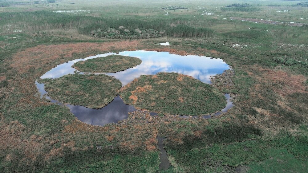 Фото Wild Wetlands Lodge