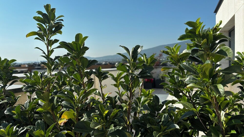 Фото Blue Star Luxury Hotel