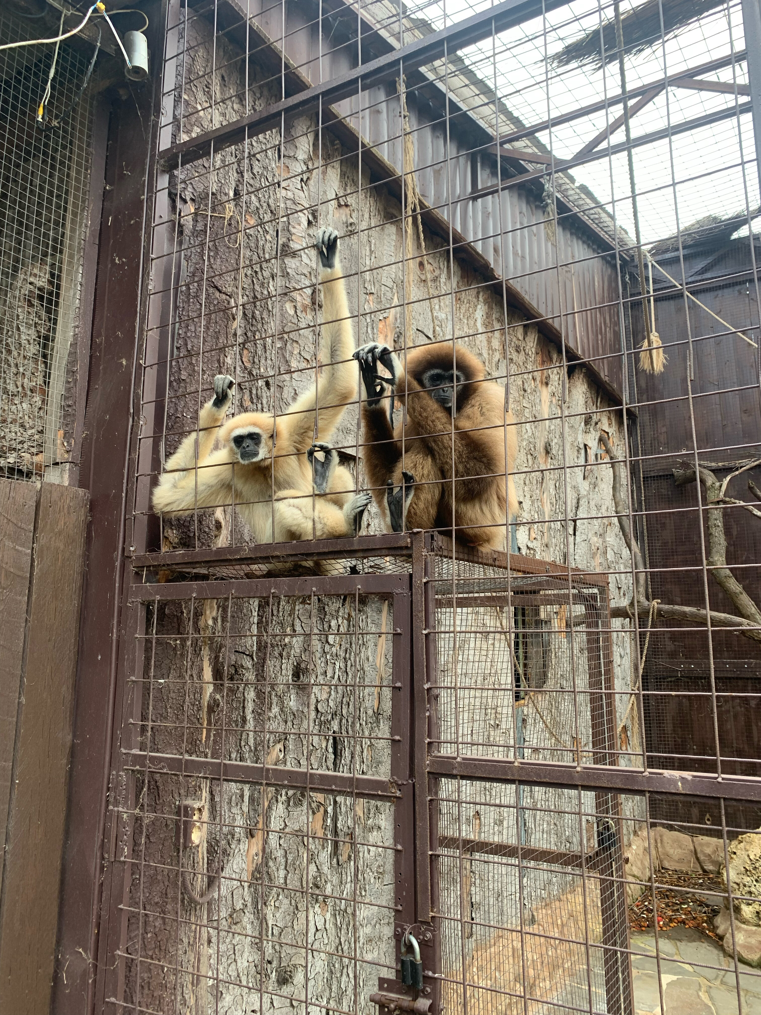 Фото Премьер