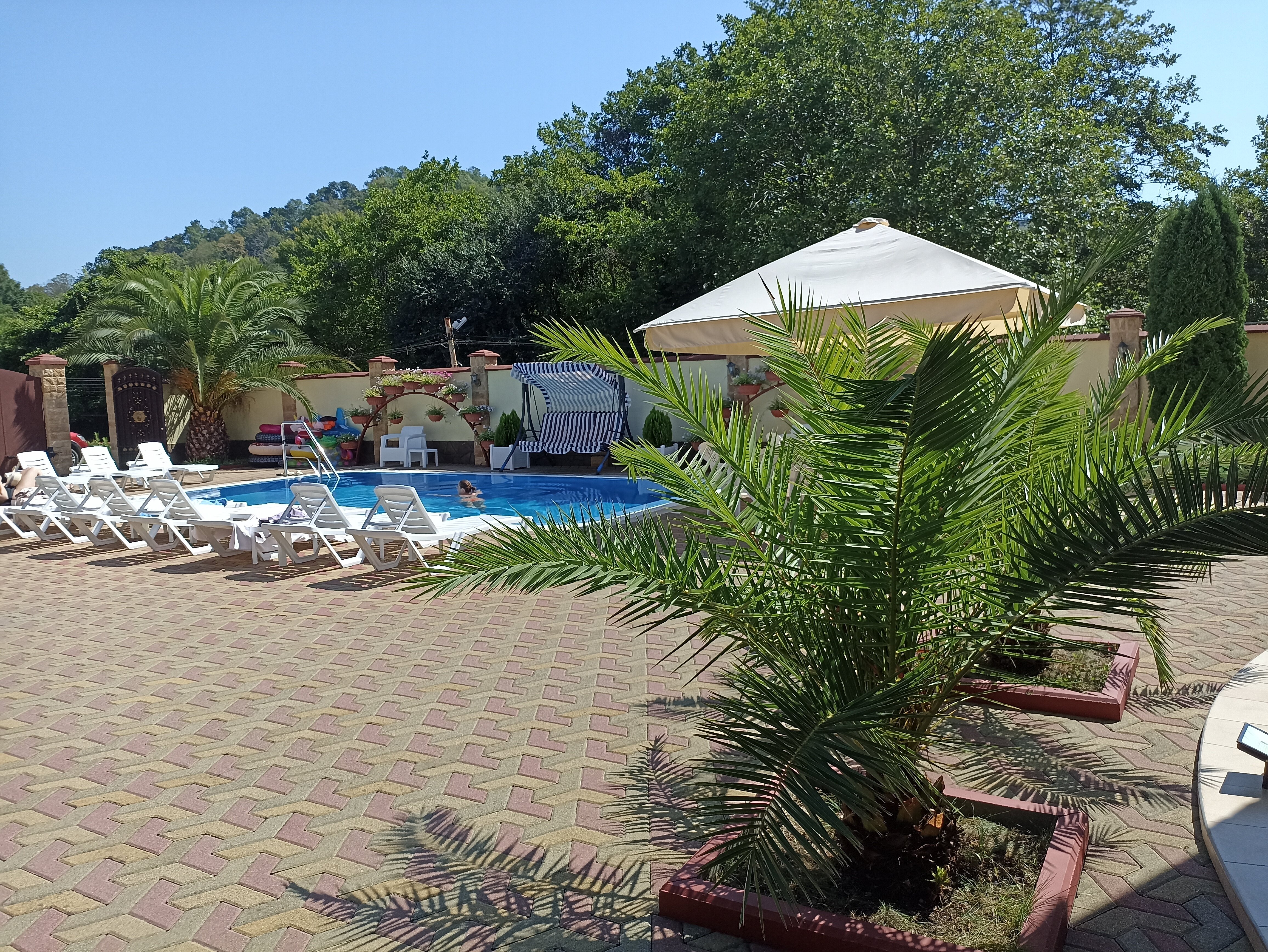 Фото Золотой Лев