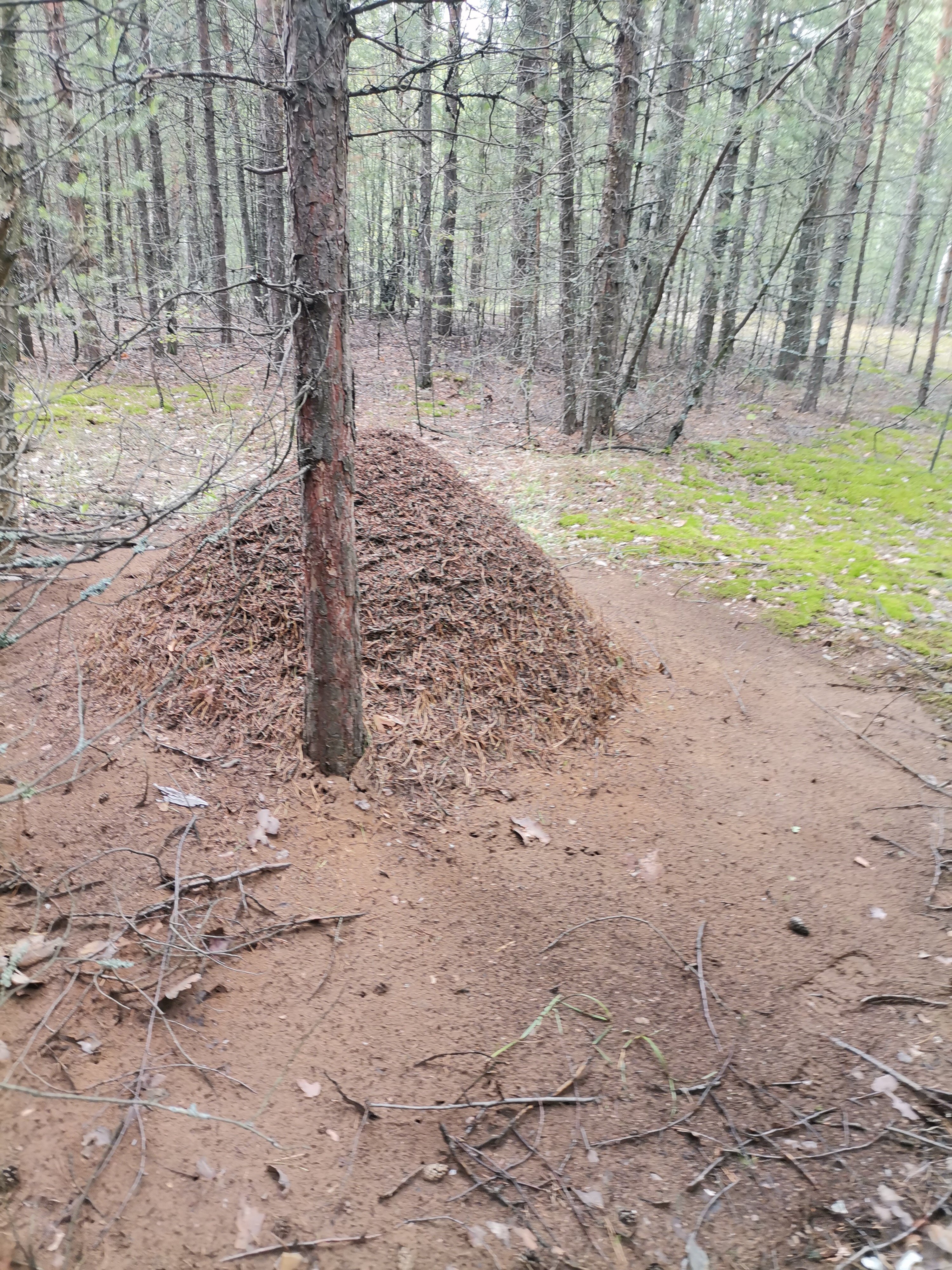 Фото Гостевой комплекс Панино