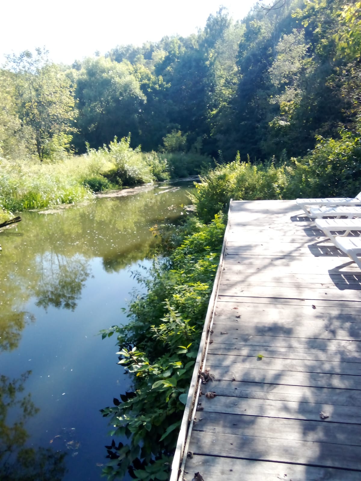 Фото Дом на реке