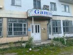 Gamma (Temirtau, Republic Avenue, 51) ، تصليح الكمبيوتر وخدمات أخرى