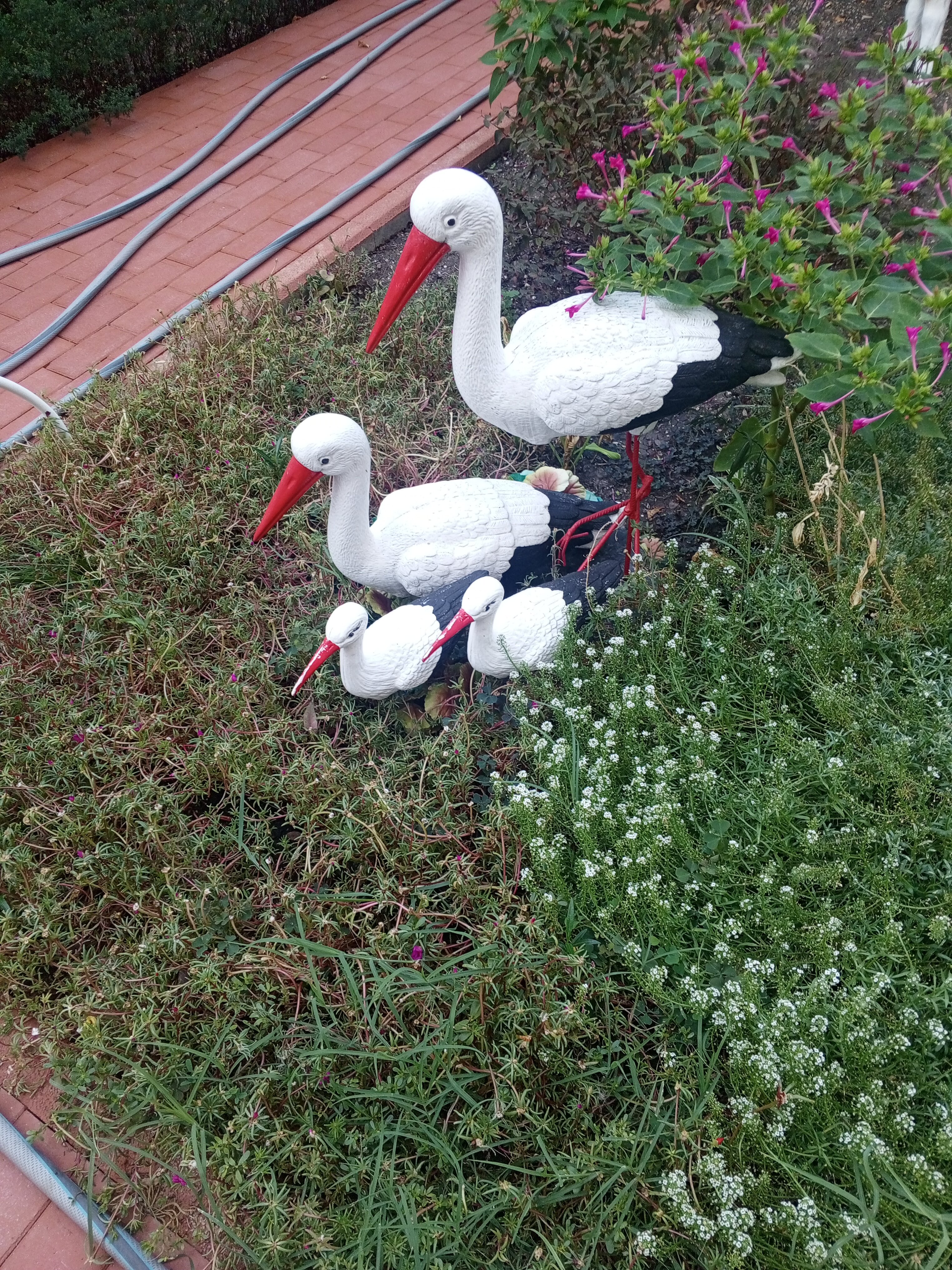 Фото Отдых у Александра