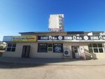 Yastreb-1 (mikrorayon Zhana Orda, 3H), security company