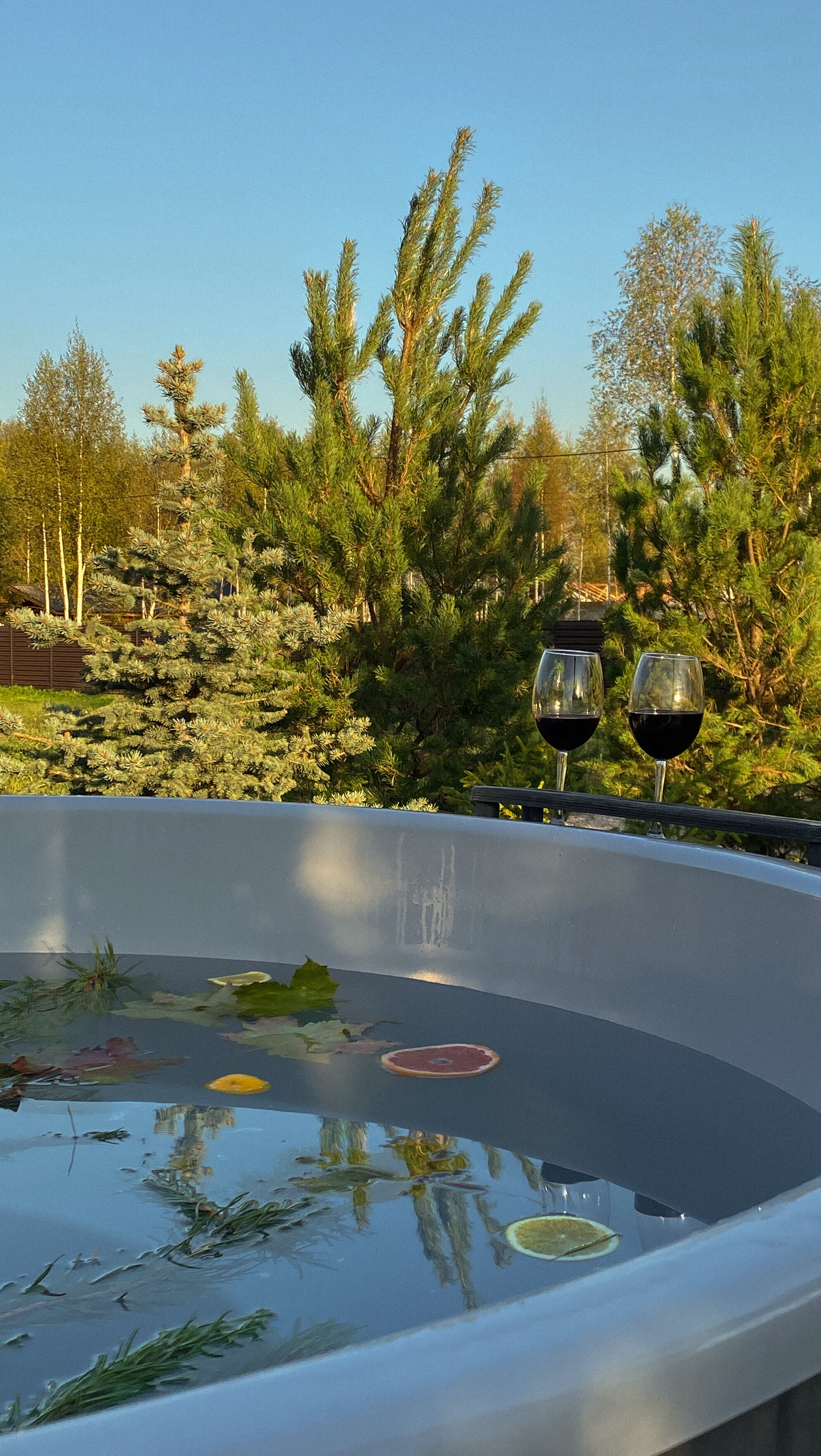 Фото Сканди Лайф