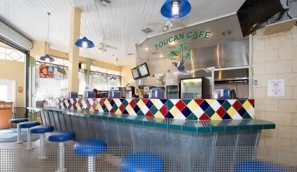 Фото Tropical Palms