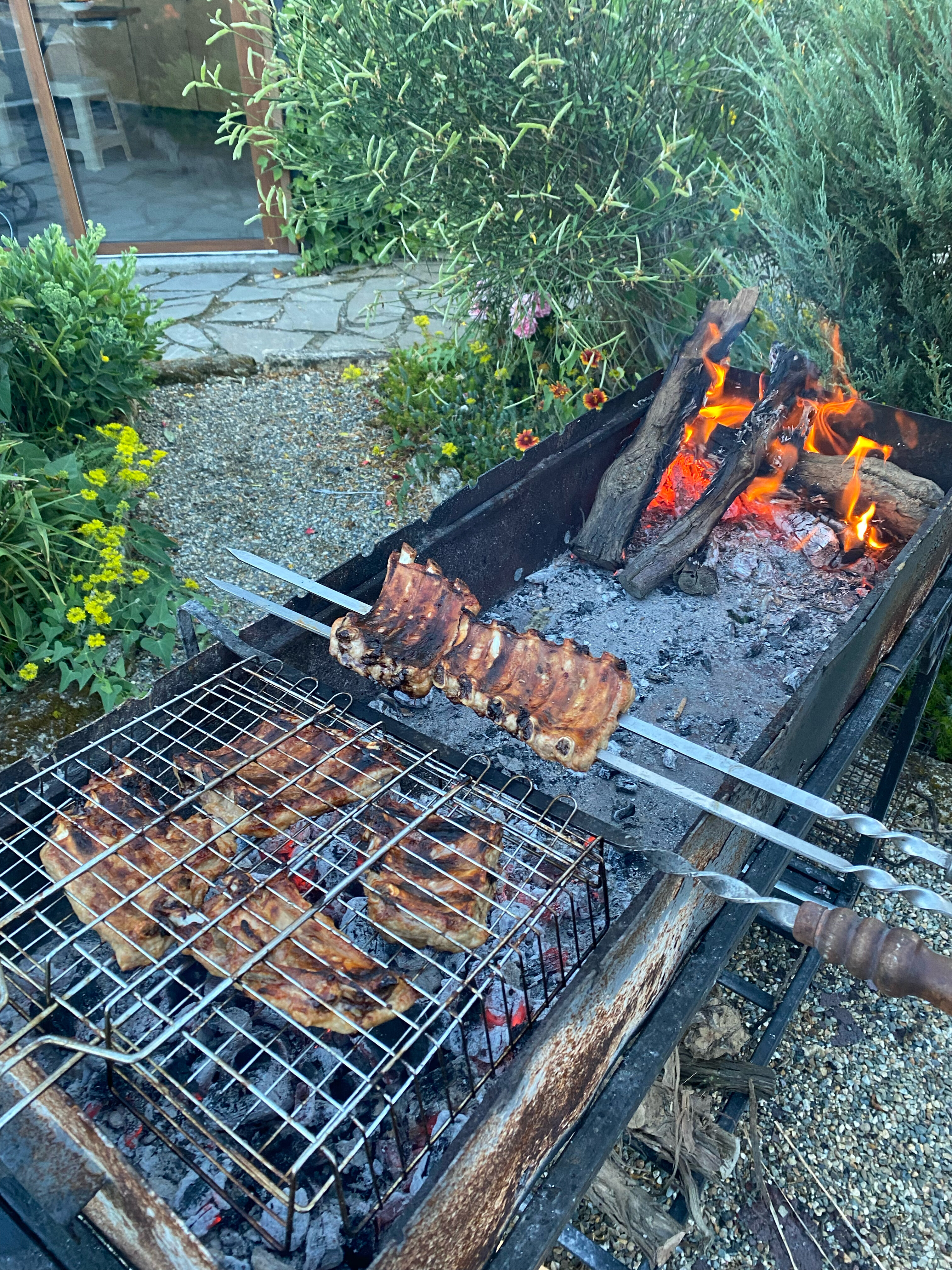 Фото Фридом