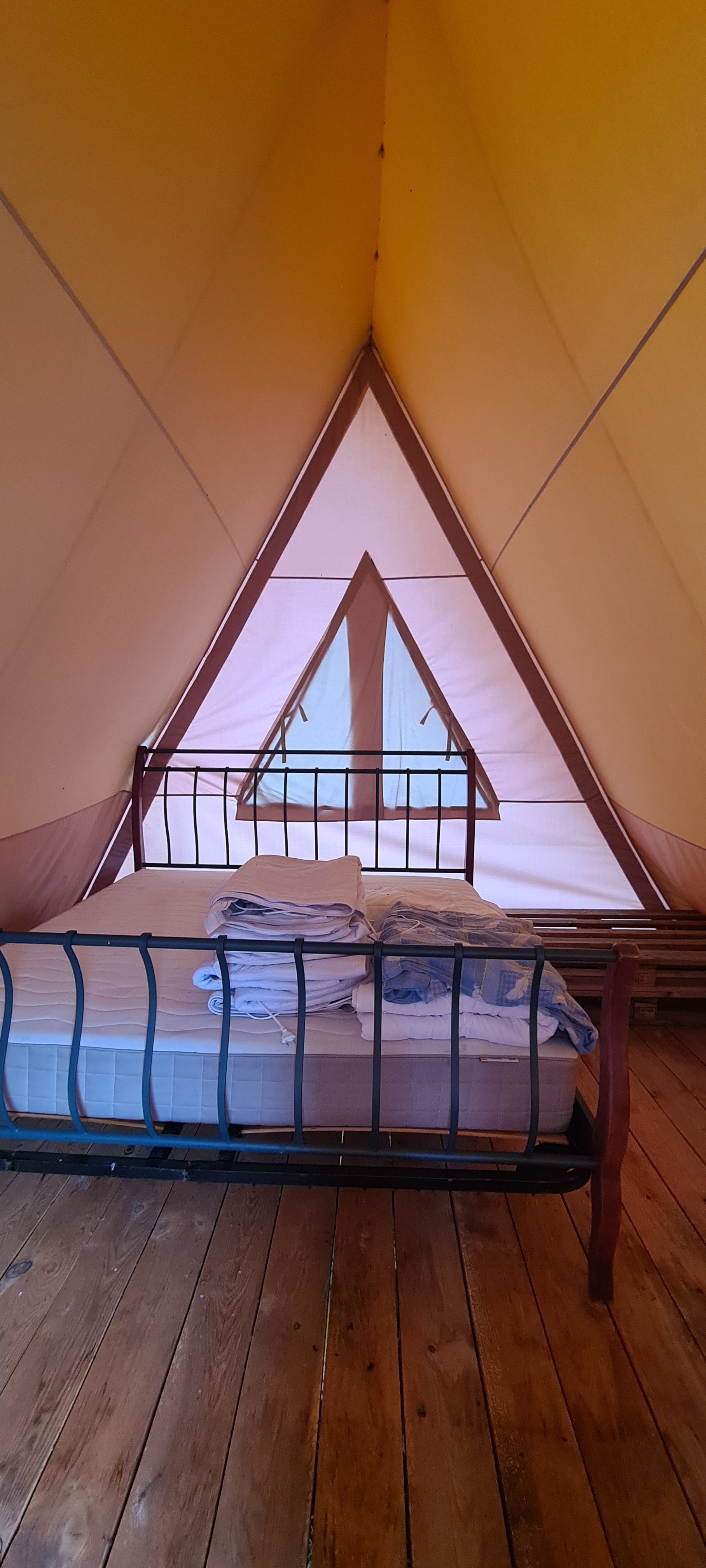 Фото Глэмпинг Стрекоза