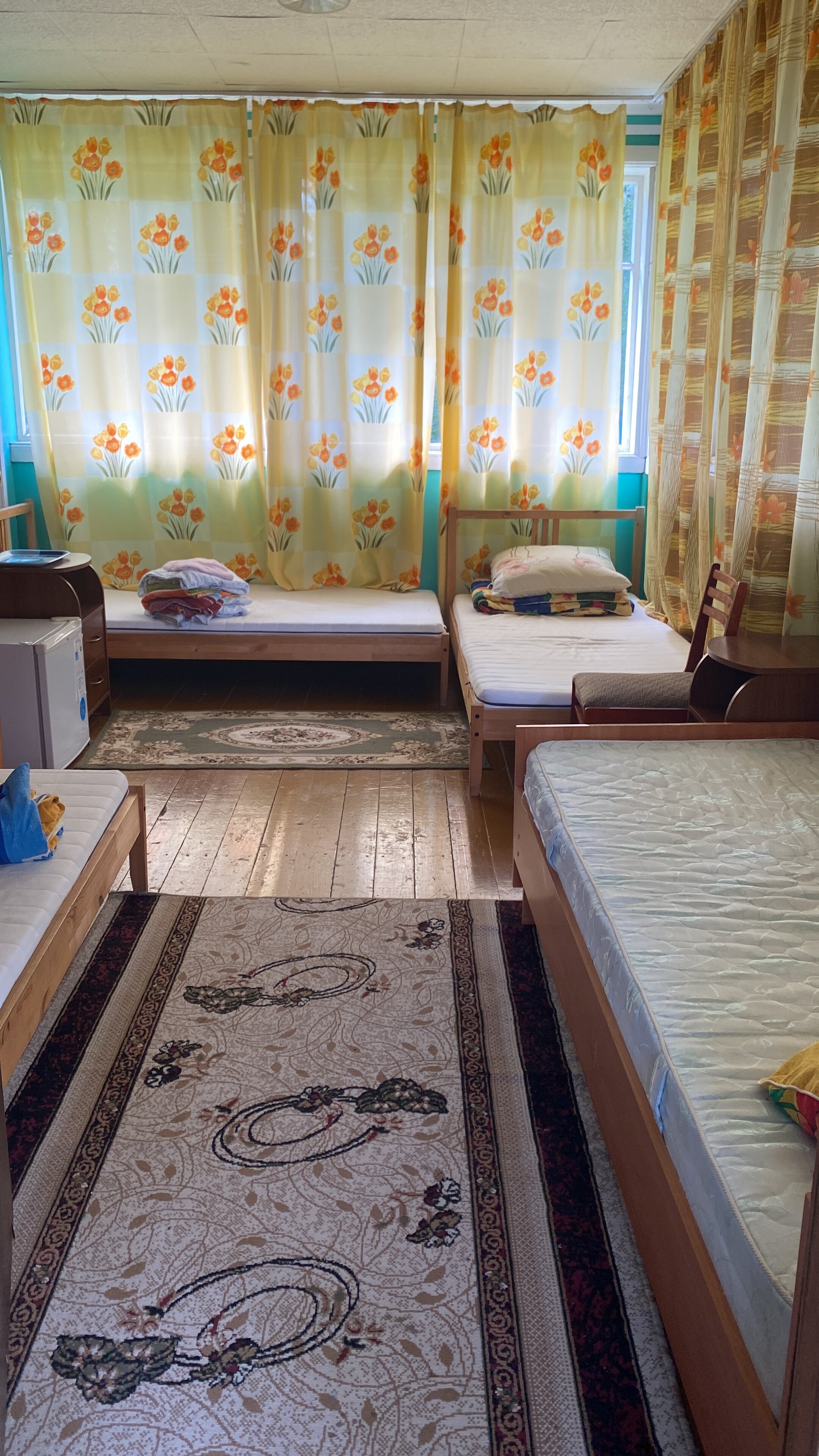 Фото Зелёная поляна