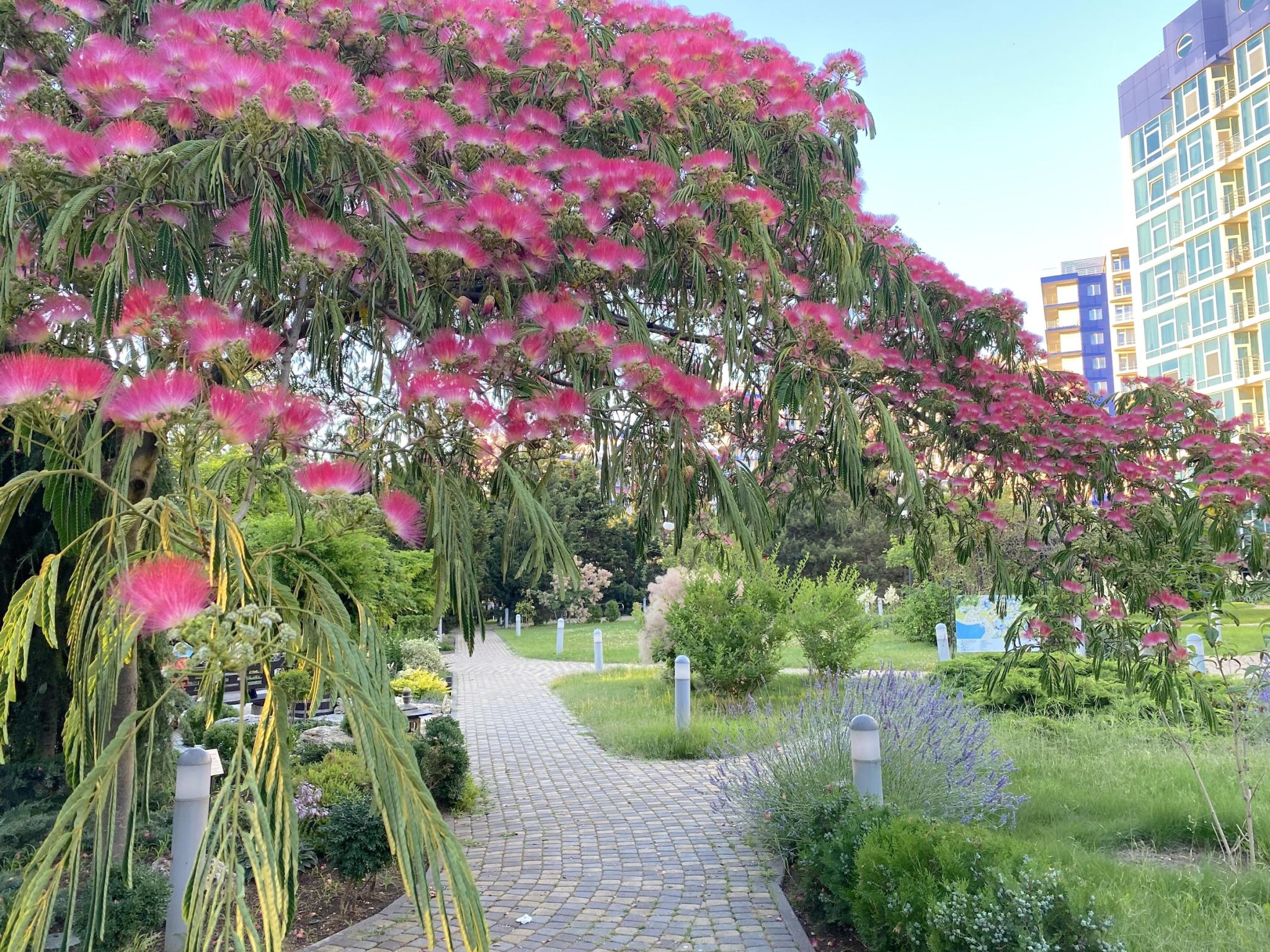 Фото Аквамарин Resort Apartments