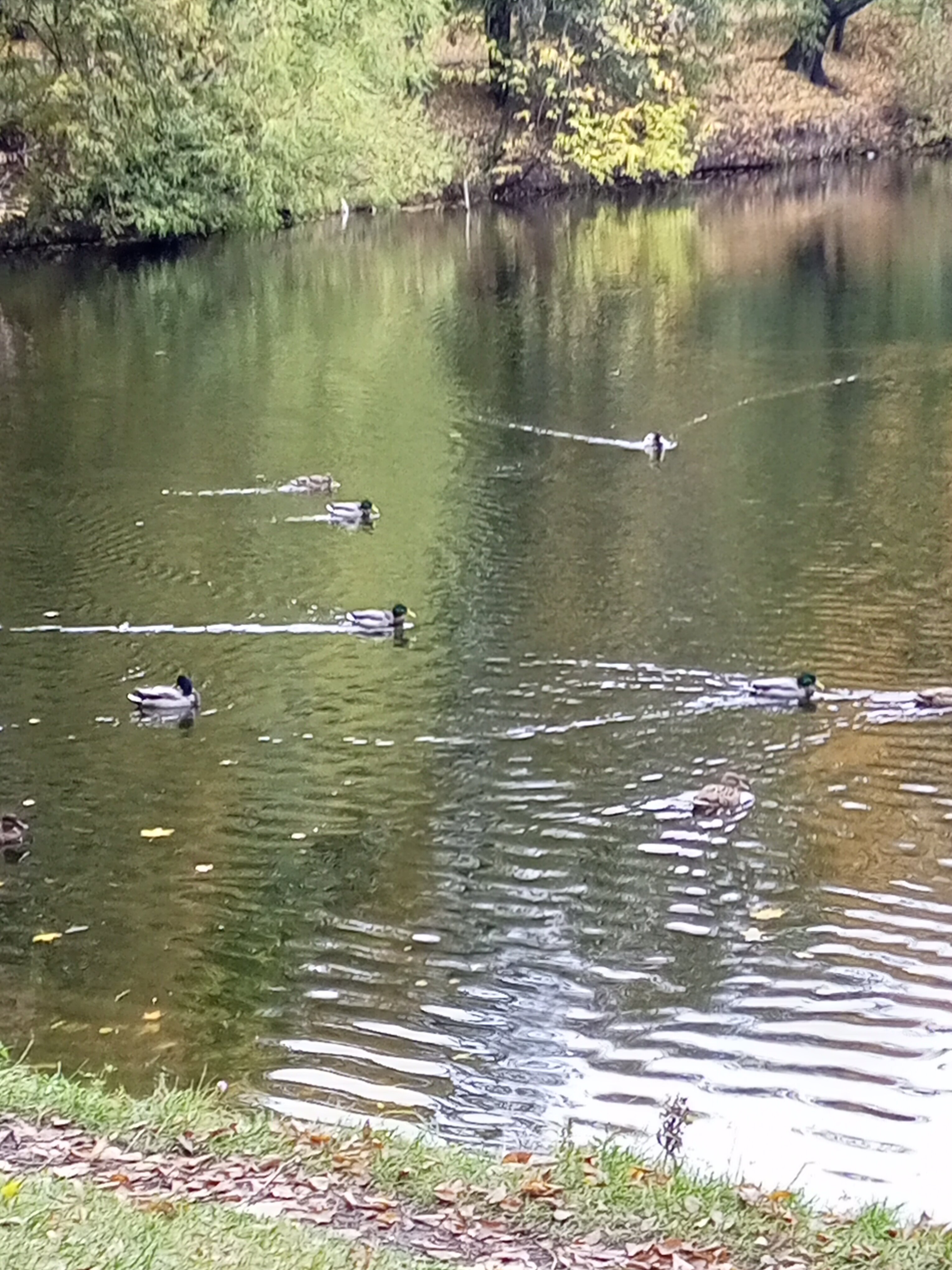 Фото Династия Лефортово