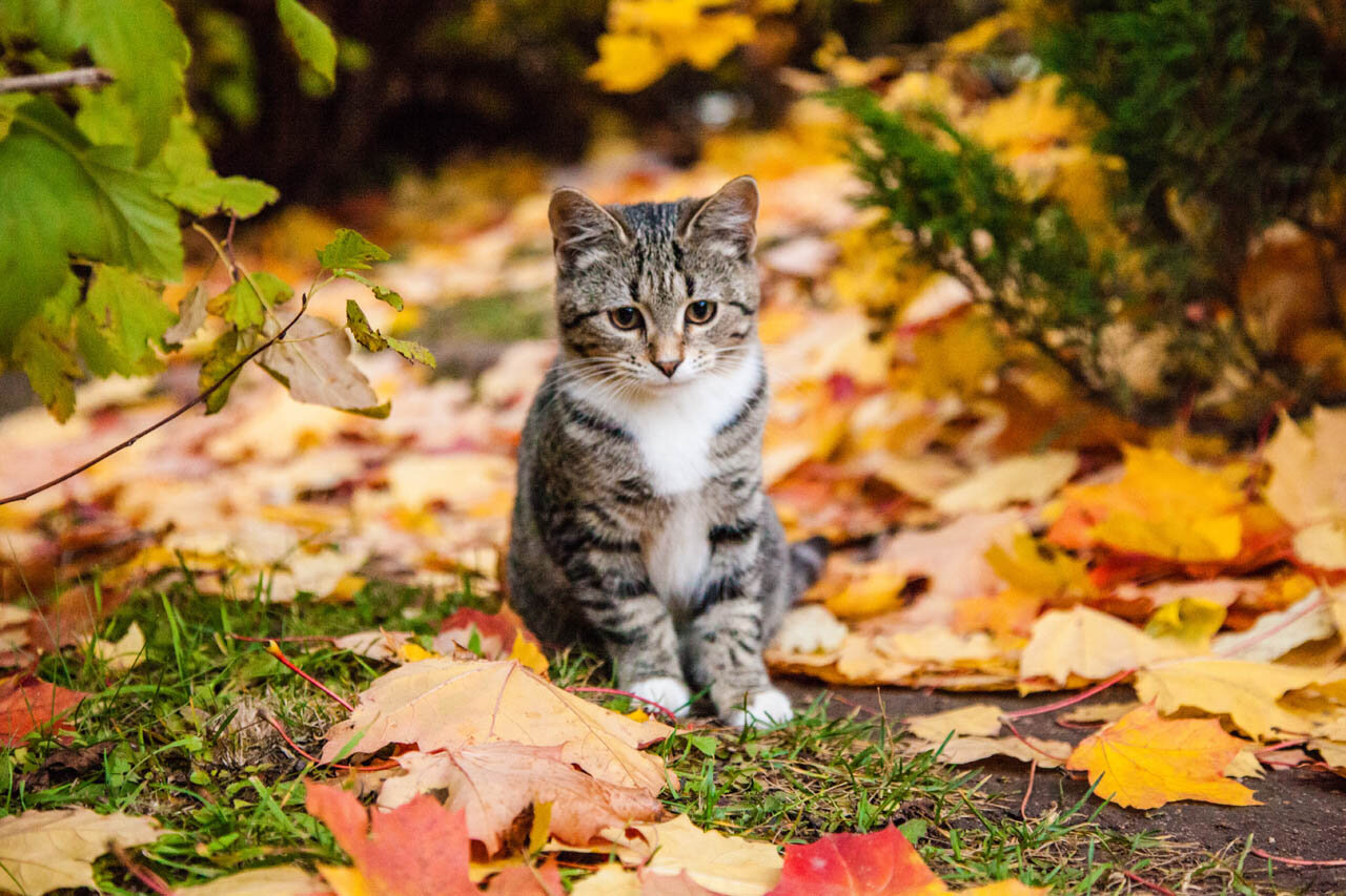 Фото Виктория