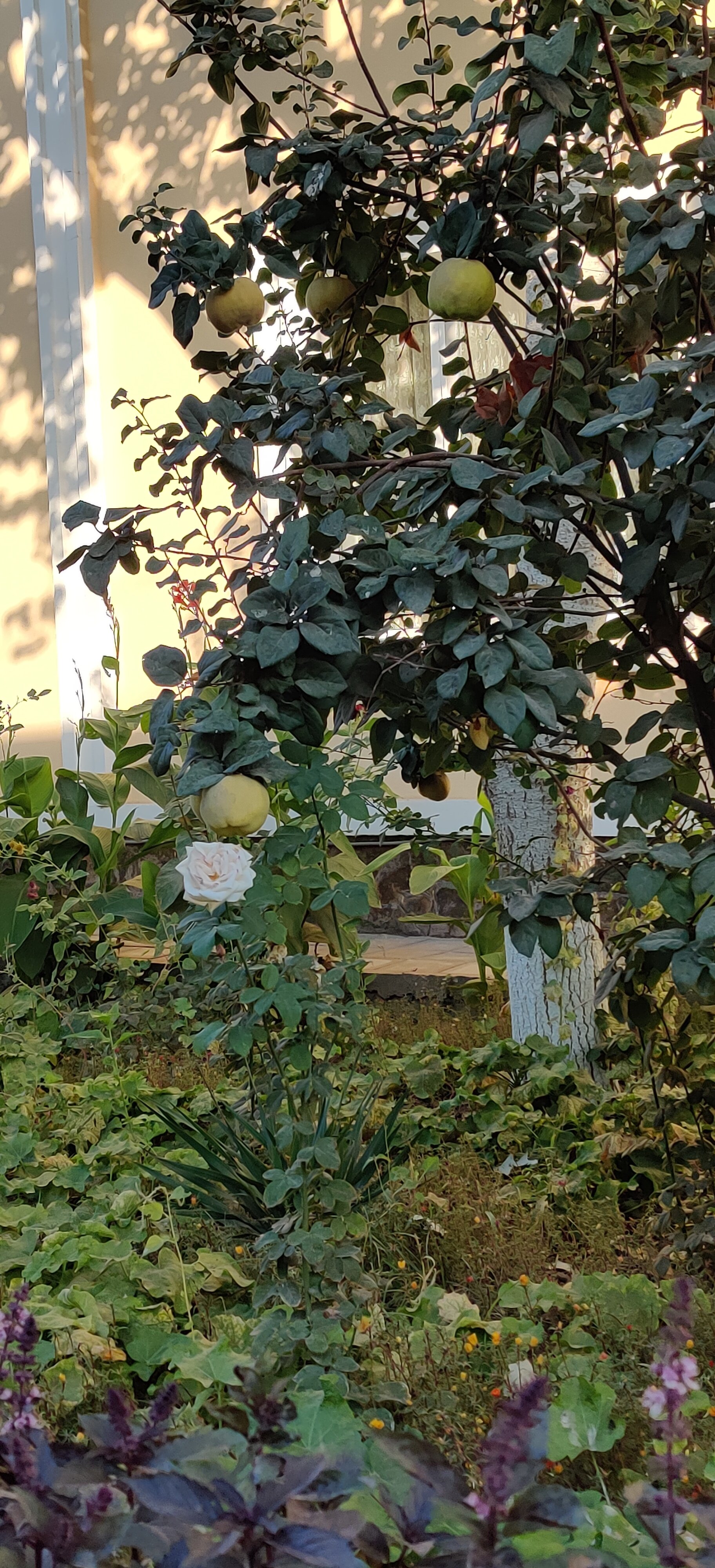 Фото Отель Asia Khiva