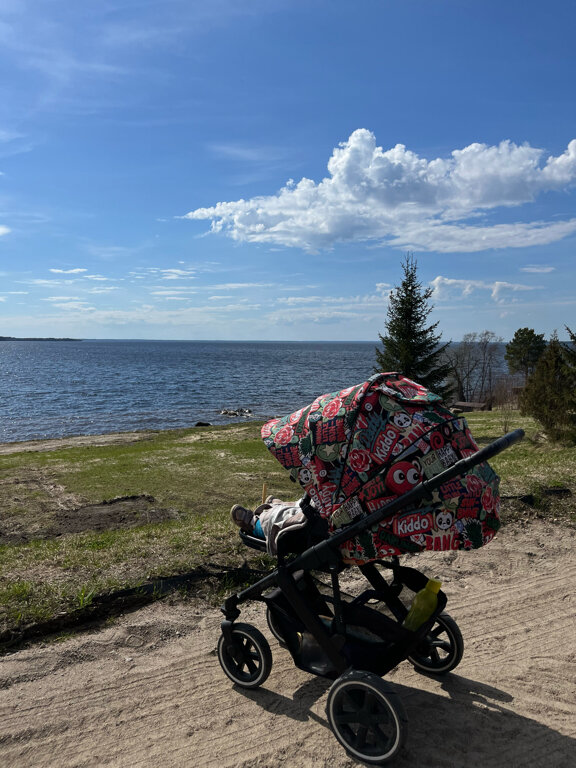 Фото Севера