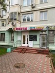 Меркурий групп (Olgino Microdistrict, Granichnaya ulitsa, 18), translation agency